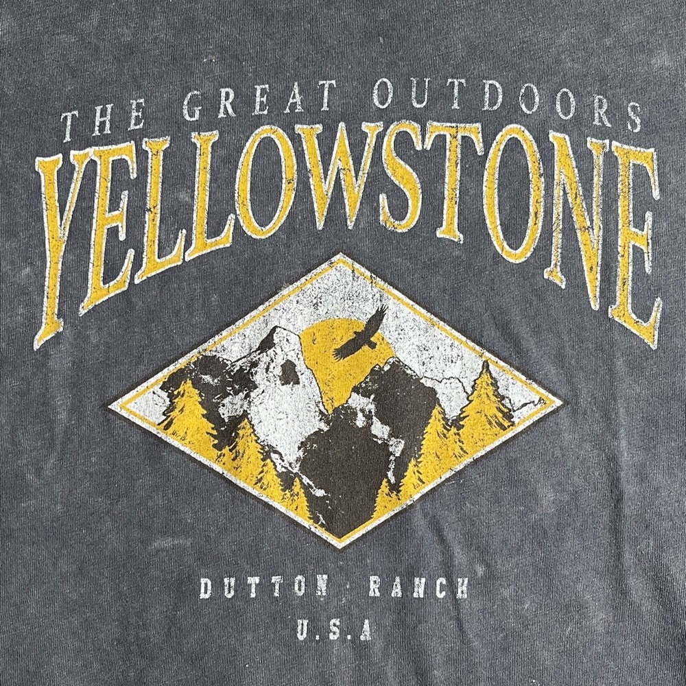 Caution To The Wind Gray Yellowstone Cropped T-Shirt size Medium - Picture 3 of 6